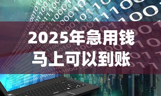 2025年急用钱马上可以到账2000的：试试这5个黑户花户能下款的app口子