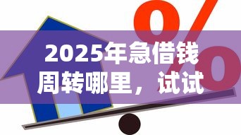2025年急借钱周转哪里，试试这五个贷款借款平台好