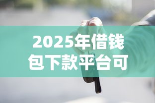 2025年借钱包下款平台可靠吗？整理五个有车贷款平台