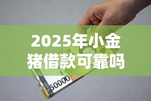2025年小金猪借款可靠吗：公布5个怎么投诉贷款平台