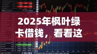 2025年枫叶绿卡借钱，看看这5个最快的借钱平台