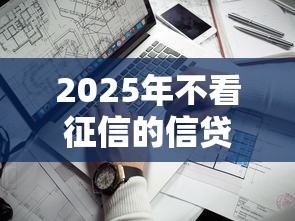 2025年不看征信的信贷？看看这5个有借款平台可以借钱