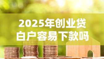 2025年创业贷白户容易下款吗，试试这五个不上征信的贷款口子