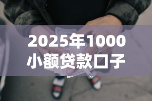 2025年1000小额贷款口子，公布5个网贷推广返佣平台