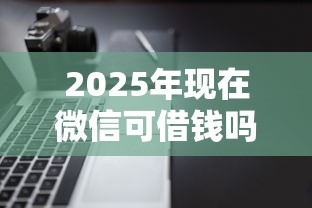 2025年现在微信可借钱吗怎么借，公布五个不看负债查询的软件