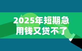 2025年短期急用钱又贷不了款怎么办：公布5个低息贷款平台