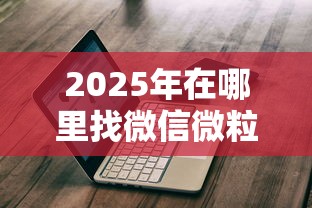 2025年在哪里找微信微粒贷借钱？推荐5个什么口子不看征信必下款