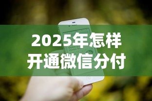 2025年怎样开通微信分付借钱？罗列五个网贷平台查询系统