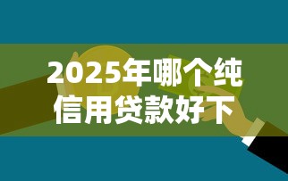 2025年哪个纯信用贷款好下款：罗列五个企业贷款平台