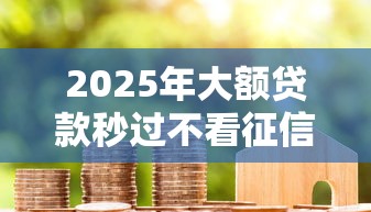 2025年大额贷款秒过不看征信，整理5个超级烂户双黑下款口子