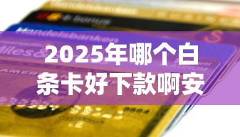 2025年哪个白条卡好下款啊安全吗，整理五个什么贷款平台好通过