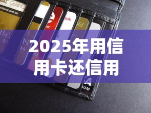 2025年用信用卡还信用卡怎么还，推荐5个16岁小额贷款平台