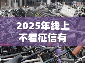 2025年线上不看征信有车就能贷：梳理5个包下款平台无视黑白的网贷