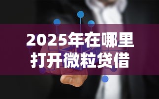 2025年在哪里打开微粒贷借钱，推荐5个不看征信直接放款的平台