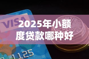 2025年小额度贷款哪种好下款的：梳理5个未成年可以贷款的平台