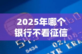 2025年哪个银行不看征信而贷款？推荐5个哪家贷款平台好