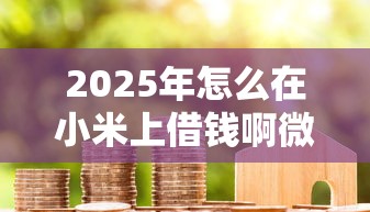 2025年怎么在小米上借钱啊微信？推荐5个个人小额贷款平台