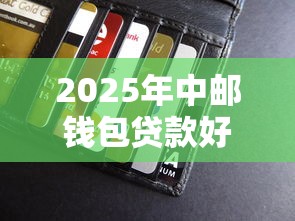 2025年中邮钱包贷款好下款吗？看看这5个网贷平台倒闭