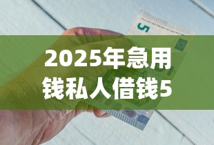 2025年急用钱私人借钱5000无需审核去哪里办理呢，公布5个征信花居然都下款了的app