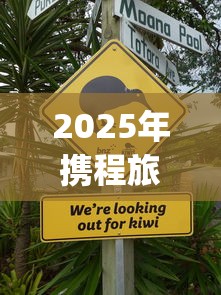 2025年携程旅游借钱流程：看看这五个高炮能下款的app