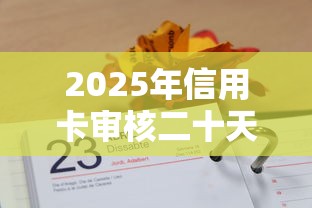 2025年信用卡审核二十天被拒？分享5个借4万分48期平台