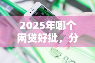 2025年哪个网贷好批，分享5个真正不查征信的贷款口子