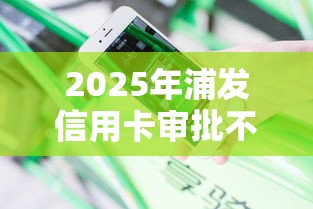 2025年浦发信用卡审批不通过：分享五个什么贷款平台容易通过