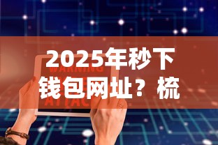 2025年秒下钱包网址？梳理五个不看征信的借钱软件