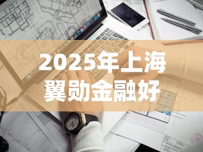 2025年上海翼勋金融好下款吗，看看这5个靠谱借钱的网贷口子