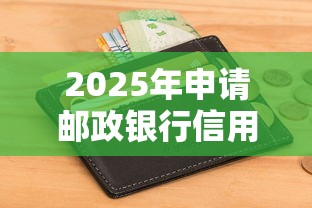 2025年申请邮政银行信用卡被拒，公布五个现在能借钱的平台