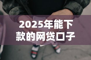 2025年能下款的网贷口子有哪些平台？看看这五个已经是黑户了还能借到钱的软件