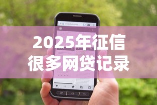 2025年征信很多网贷记录但是没有逾期？分享五个不看征信小贷口子