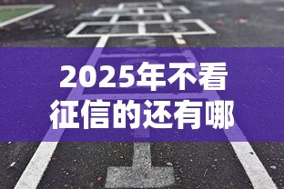 2025年不看征信的还有哪些：公布5个借款平台好贷款