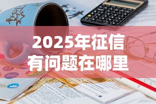 2025年征信有问题在哪里贷款？罗列五个70岁可以贷款的平台