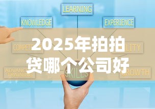 2025年拍拍贷哪个公司好下款啊，公布五个借款软件