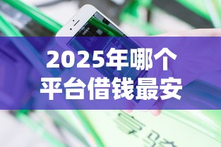 2025年哪个平台借钱最安全可靠：推荐五个2025大花户放水秒下款的口子