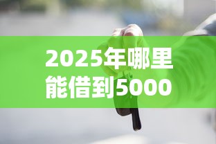 2025年哪里能借到5000元，看看这5个黑户能下款的口子