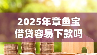 2025年章鱼宝借贷容易下款吗：罗列5个美容分期贷款平台