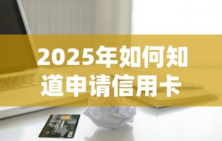 2025年如何知道申请信用卡被拒？推荐五个不需要征信的借款平台