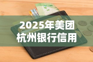 2025年美团杭州银行信用卡被拒：看看这五个不看征信查询的平台