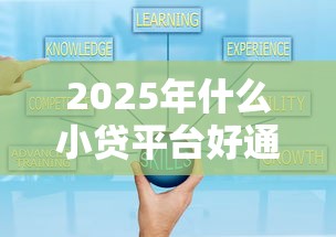 2025年什么小贷平台好通过下款，公布五个贷款软件