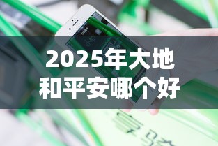 2025年大地和平安哪个好下款？分享5个十大安全借钱平台