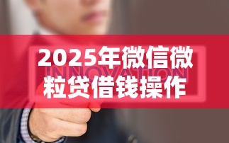 2025年微信微粒贷借钱操作流程：梳理5个小微金融贷款平台