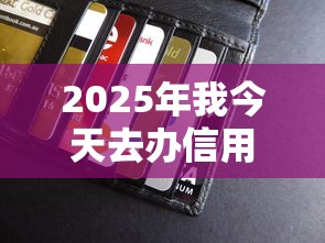 2025年我今天去办信用卡被拒了，公布5个必下的小额贷款口子