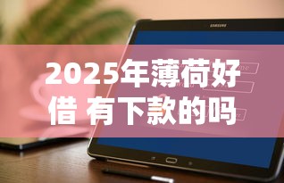 2025年薄荷好借 有下款的吗？试试这五个什么软件借钱最快通过利息低