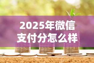 2025年微信支付分怎么样借钱：公布5个黑户能在借款平台借到钱