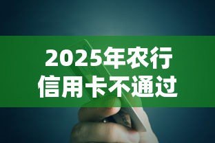 2025年农行信用卡不通过短信：梳理五个应急贷款平台
