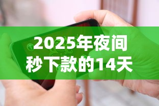 2025年夜间秒下款的14天口子：试试这5个贷款平台公司