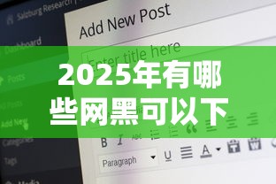 2025年有哪些网黑可以下的口子：公布5个满19岁可以借款的口子