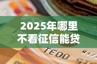 2025年哪里不看征信能贷10万？梳理五个大额网贷平台